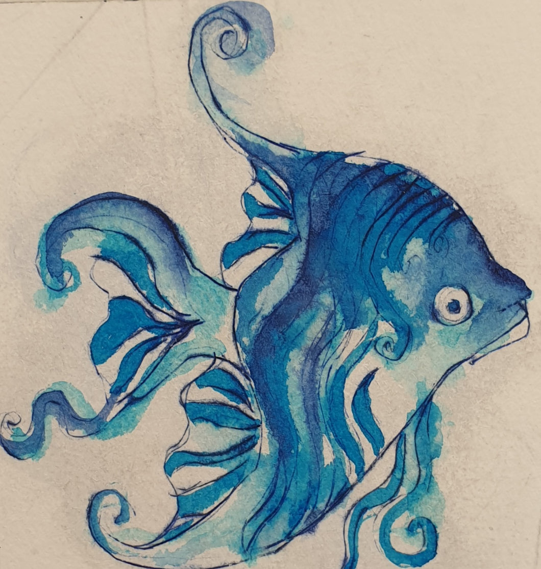 Blue Zeb Fish