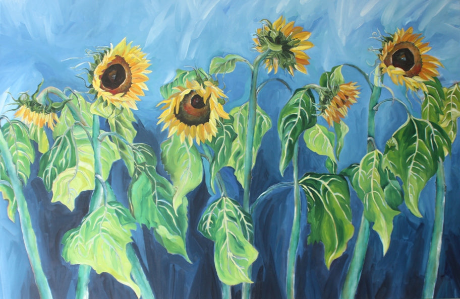 Egmond Sunflowers